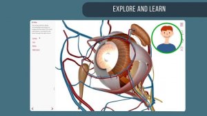 3D Anatomy Courseware | Visible Body