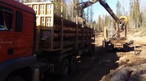 #Ман #Лесовоз