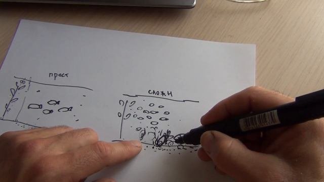 Простой и сложный карась - их особенности, как ловить и мои предположения и теории
