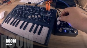 Arturia MICROBRUTE + Tesseract Reverb