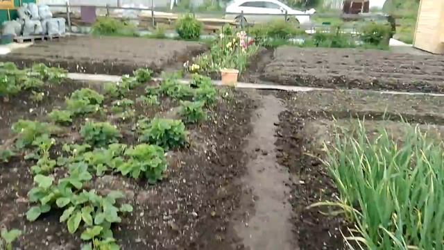 Это моя дача смотреть онлайн