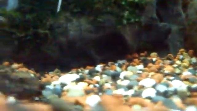 Aquaspace