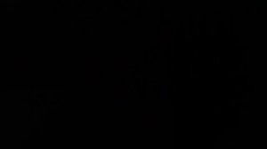 Дополнительные поворотники  DFM H30 Cross ❌