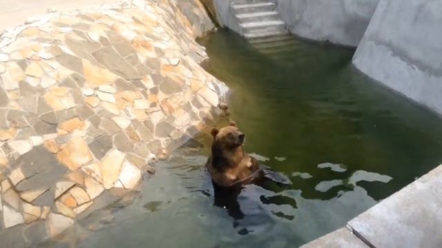 Чего на меня уставильсь,кормить меня будете? смотреть онлайн