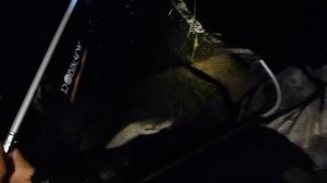 Ночная рыбалка в Пологом Займище Астраханской области на фидер. Я его всё таки поймал!