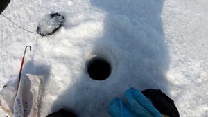 Трофейная рыбалка на безмотылку Чёртик. Уловистый чёртик соблазнил БОНУС!