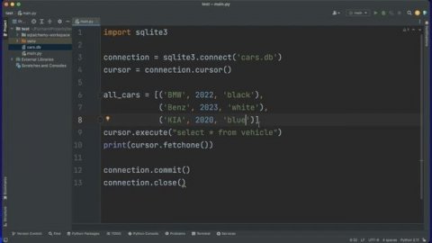 Python Complete Course - part 12 (Working with Databases)