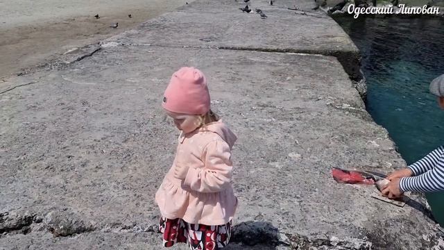 ОДЕССА. ЧЁРНОЕ МОРЕ. РЫБАЛКА клюёт КАРАСЬ