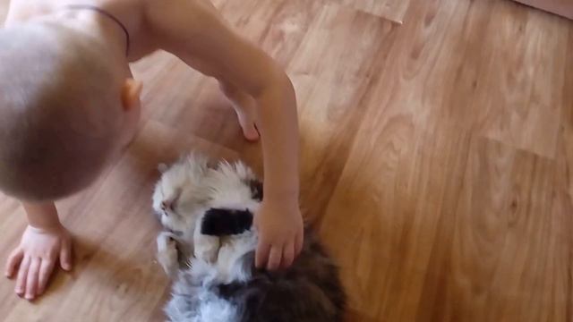 МУРЕНА ЧЕТО СПИТ смотреть онлайн