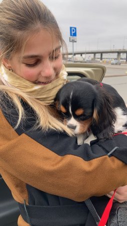 🐶🎀 Девочка ККЧС (Оксана Тупицина) улетела жить в Псков ✈️ Авиа доставка Екатеринбург-Псков