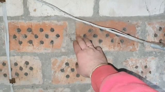 150 кур несушек. Подготовка к строительству курятника.
