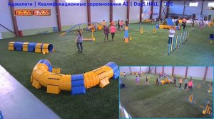 Аджилити | Квалификационные соревнования A2 | 13.05.2018 | DogS HALL | LIVE
