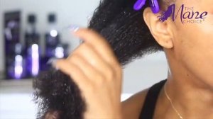 FRIZZ FREE WASH N GO | TESTING OUT THE MANE CHOICE CORE COLLECTION