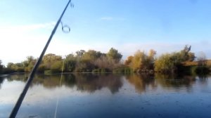 Хорватское яйцо 7-ка с коротким крючком(Bumble Lure J-7x)