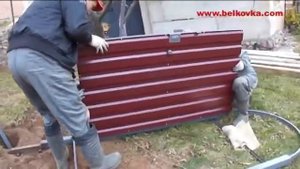Ворота и калитка из профлиста белковка