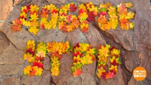 Селфи с осенними листьями. Доброе утро. Фрагмент выпуска от 12.10.2023