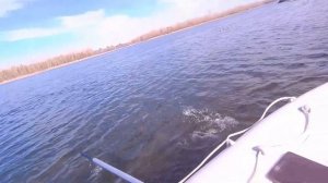 БОЛОТОХОД SEA-PRO 6.5 л.с небольшой обзор и испытания по Енисею