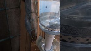 Кормушка для собаки бункерного типа