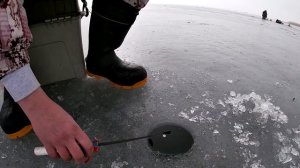 ЛОВЛЯ ПЛОТВЫ и ГУСТЕРЫ на ЗИМНИЙ ТЕХНОПЛАНКТОН. РЫБАЛКА в феврале. ПОСЛЕДНИЙ ЛЕД 2020!