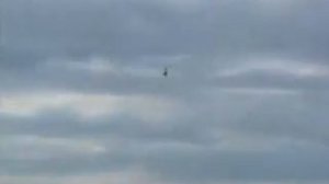 ENGLISH  POINTER Английский Пойнтер