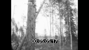 1972г. п. Чёрный Порог. лесопункт. Сегежский  район Карелия.