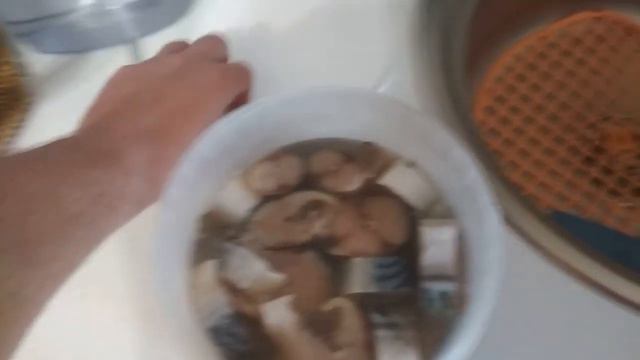 Солёная скумбрия!!!! очень вкустно и просто !!!