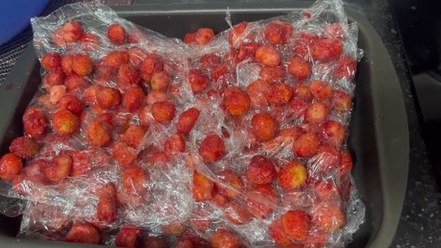 Қыстың ҚАМЫН ЖАЗ ОЙЛА. Құлпынайды ең дұрыс қатыру әдісі. Осы әдіспен жидектерді қатыруға болады смотреть онлайн