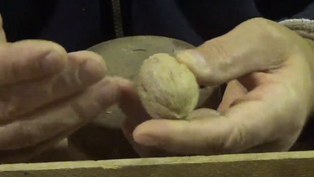 Два способа чистки грецких орехов твердых и мягких смотреть онлайн