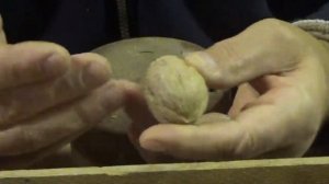 Два способа чистки грецких орехов твердых и мягких