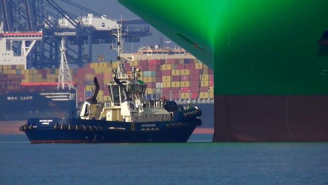 Evergreen's EVER AIM - Containership - Shipspotting Port of Felixstowe 13/2/23 смотреть онлайн