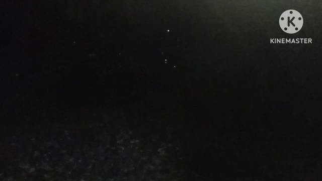 НАШЛИ СЕРЕНОГОЛОВНОГО? (он существует)
