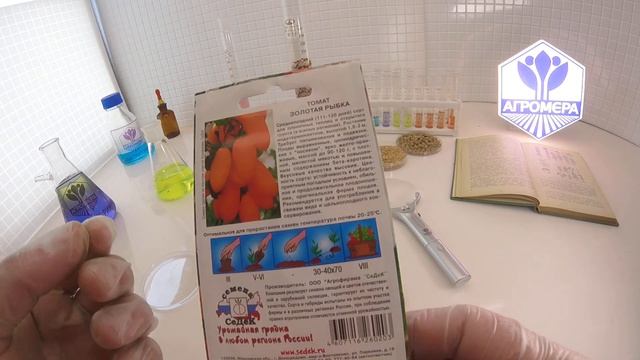 Томат Золотая Рыбка. СеДеК смотреть онлайн