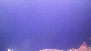 Внешний фильтр для аквариума 400 литров часть 2