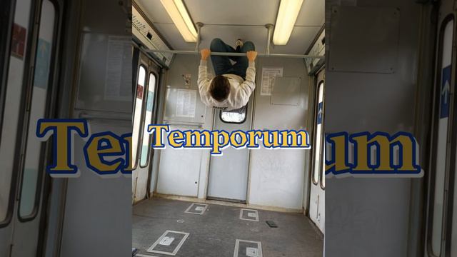 Temporum - PROD. Catullone смотреть онлайн