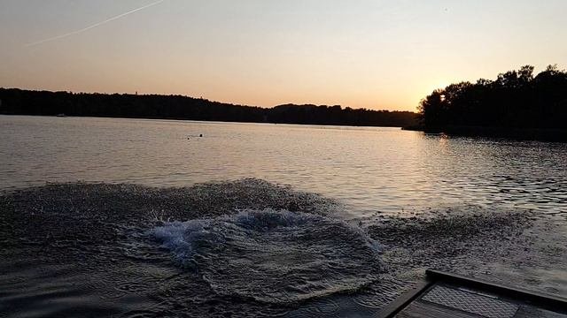 Swimming At Sunset