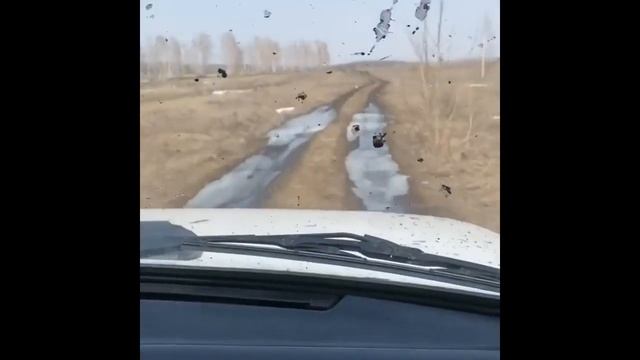 Рифат Зарипов -  Тест драйв новенькой Нивы