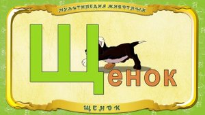 Мультипедия животных. Буква Щ - Щенок