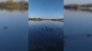 7 октября 2021 г Гусь-Хрустальный