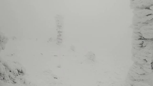 Вершина Машука. Декабрь 2020(2) смотреть онлайн