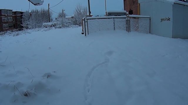 Поздравляю с Новым годом! смотреть онлайн