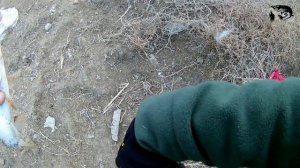 Ловим жереха на вертушки. Жерех, осень 2022г..