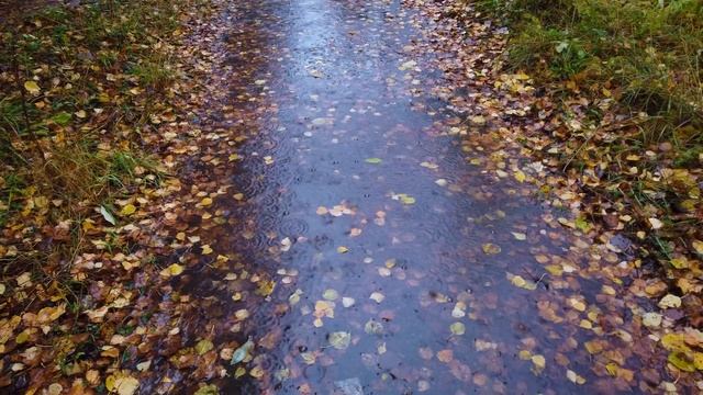 Только для тех, у кого настроение не зависит от погоды:-) смотреть онлайн