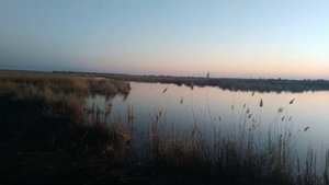 Рыбалка на реке Берле. Весна 2022..