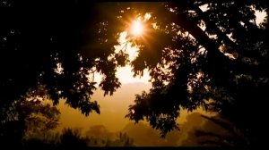 Рождество ролик 2018г