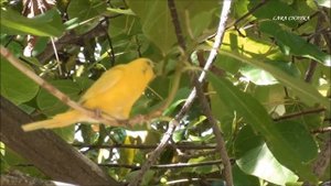 МАЛЬДИВЫ 2023 ОТДЫХ В ОТЕЛЕ ТУЛАГИРИ АЙЛЕНД РЕЗОРТ. MALDIVES REST Thulhagiri Island Resort