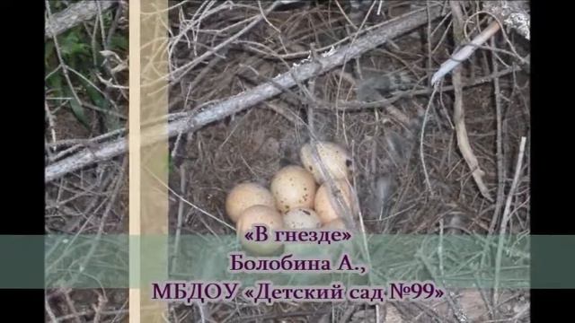 Победители фотоконкурса "Самая красивая страна"