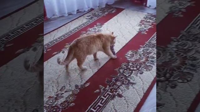 Мняма