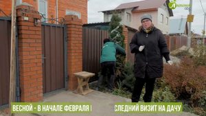 Укрытие туи на зиму. Какой укрывной материал лучше для зимовки туи? Подготовка туи к зиме