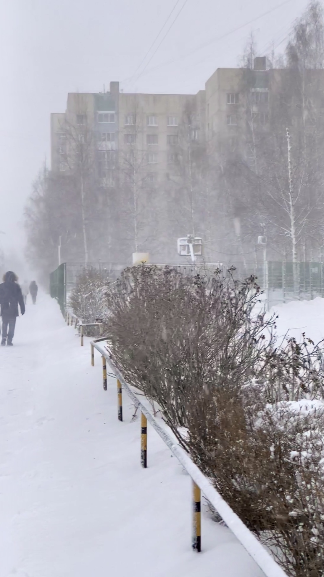 #санктпетербург #ураган #снежнаябуря 
 Снежная буря в Санкт-Петербурге