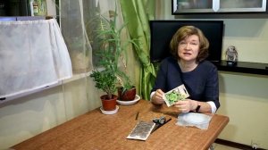 456_Молодило. Вечно живущее. Посев семенами.